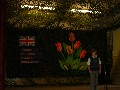 image0001.jpg