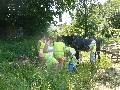 image0017.jpg