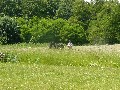 image0022.jpg