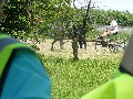 image0026.jpg