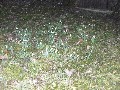 image0015.jpg