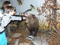 image0048.jpg