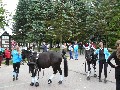 image0055.jpg