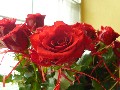 image0022.jpg