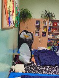 image0024.jpg