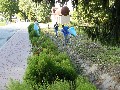 image0012.jpg