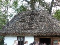 image0004.jpg