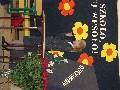 image0013.jpg