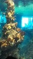 image0000.jpg
