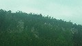 image0047.jpg