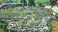 image0109.jpg
