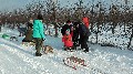image0017.jpg