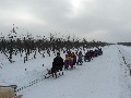 image0012.jpg