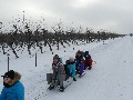 image0015.jpg