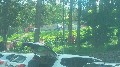 image0016.jpg