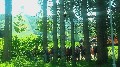 image0019.jpg
