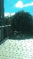 image0030.jpg