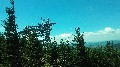 image0056.jpg