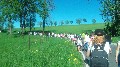image0029.jpg