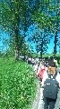 image0030.jpg