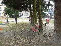 image0006.jpg