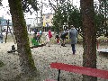image0017.jpg