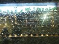 image0004.jpg
