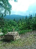 image0066.jpg