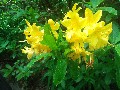 image0075.jpg
