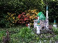image0080.jpg