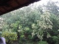 image0015.jpg